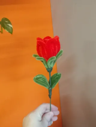 Rosa rossa San Valentino