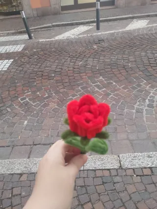 Rosa rossa San Valentino