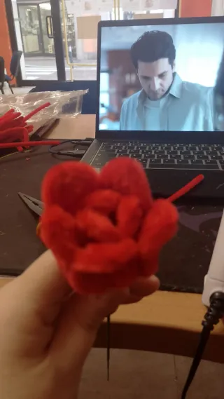 Rosa rossa San Valentino