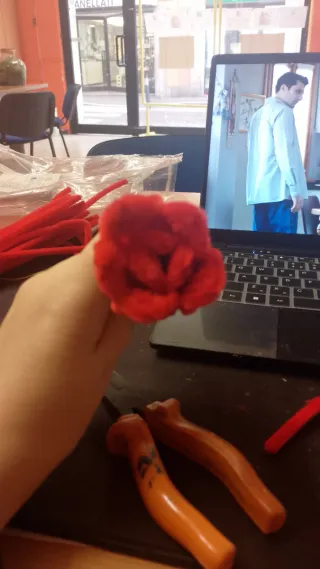 Rosa rossa San Valentino