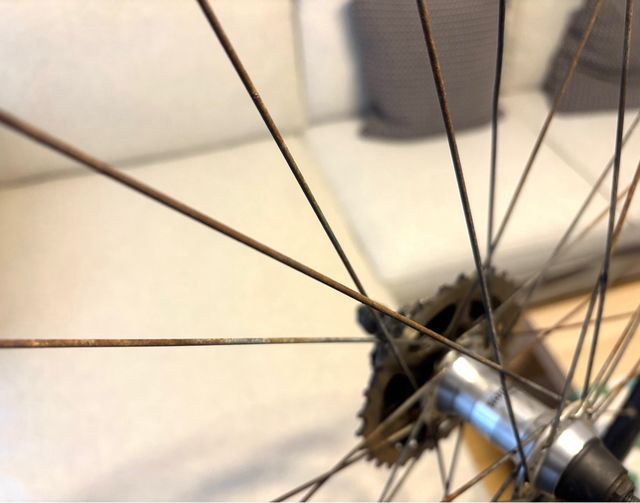 Rueda trasera MTB 26” con cassette 8v