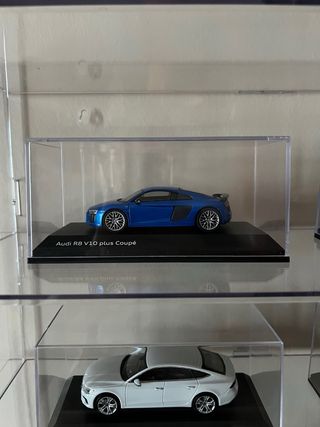 Vitrina expositora de coleccionismo