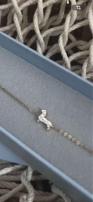 Pulsera perro salchicha circonitas oro rosa