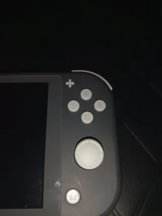 Nintendo Switch Lite + Animal Crossing