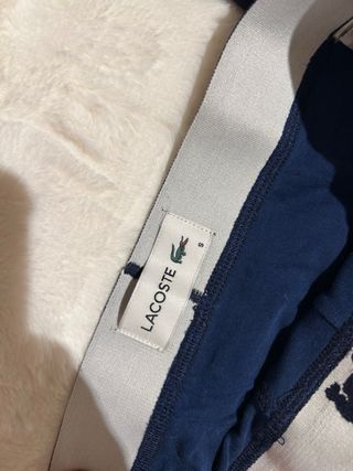 Pack 3 Calzoncillos Lacoste Originales