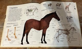 Enciclopedia visual de los seres vivos