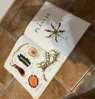 Enciclopedia visual de los seres vivos