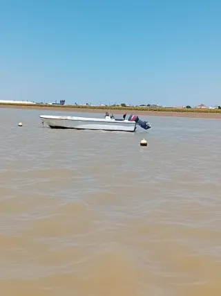 Embarcación Dipol Open 6.15