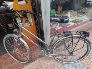 Bicicleta Giant Gris
