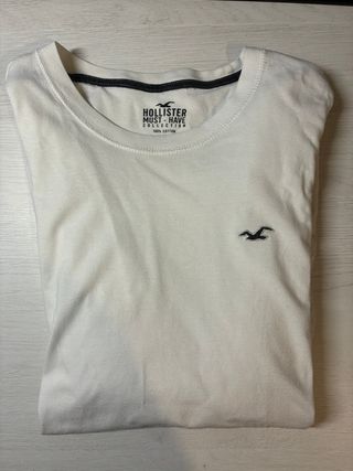 Camiseta manga larga Hollister hombre