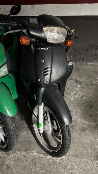 Honda Scoopy 50cc Scooter