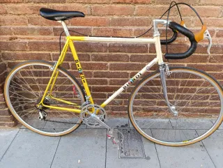 Bicicleta Biondi Zeus Supercronos