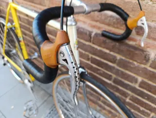 Bicicleta Biondi Zeus Supercronos