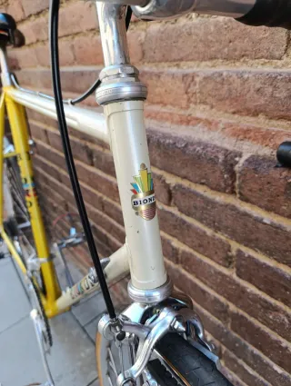 Bicicleta Biondi Zeus Supercronos