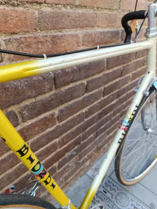 Bicicleta Biondi Zeus Supercronos