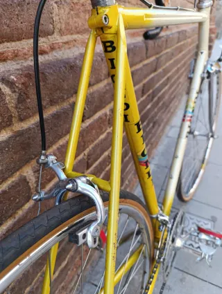 Bicicleta Biondi Zeus Supercronos