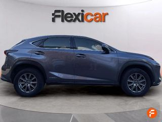 Lexus NX 2.5 300h Business 2WD