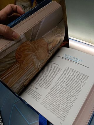 EL LIBRO DE LA VIRGEN, en perfecto estado,  ed. EDICEL Edicion 2010, Enrique Llamas Martinez