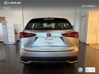 LEXUS NX SUV BUSINESS 2.5 Híbrido Gasolina (197CV) Transmis