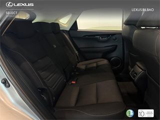 LEXUS NX SUV BUSINESS 2.5 Híbrido Gasolina (197CV) Transmis