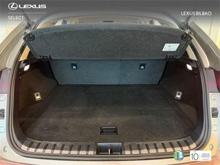 LEXUS NX SUV BUSINESS 2.5 Híbrido Gasolina (197CV) Transmis