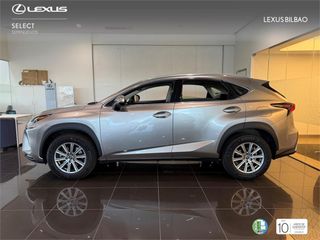LEXUS NX SUV BUSINESS 2.5 Híbrido Gasolina (197CV) Transmis