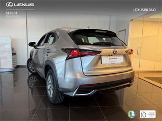 LEXUS NX SUV BUSINESS 2.5 Híbrido Gasolina (197CV) Transmis