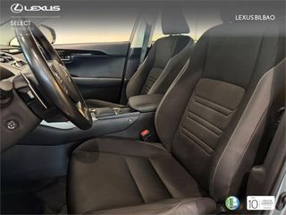 LEXUS NX SUV BUSINESS 2.5 Híbrido Gasolina (197CV) Transmis