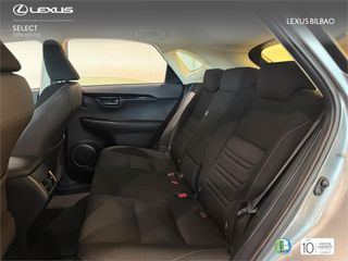 LEXUS NX SUV BUSINESS 2.5 Híbrido Gasolina (197CV) Transmis