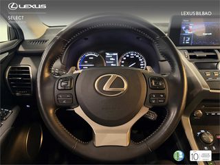 LEXUS NX SUV BUSINESS 2.5 Híbrido Gasolina (197CV) Transmis
