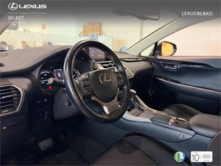 LEXUS NX SUV BUSINESS 2.5 Híbrido Gasolina (197CV) Transmis