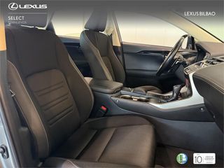LEXUS NX SUV BUSINESS 2.5 Híbrido Gasolina (197CV) Transmis
