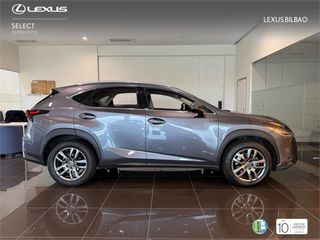 LEXUS NX 300h Executive Navigation 4WD