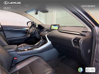 LEXUS NX 300h Executive Navigation 4WD