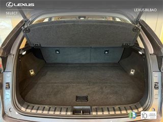 LEXUS NX 300h Executive Navigation 4WD