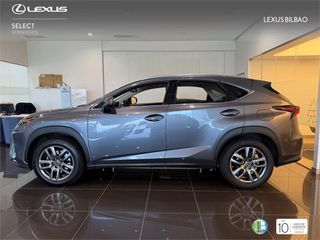 LEXUS NX 300h Executive Navigation 4WD