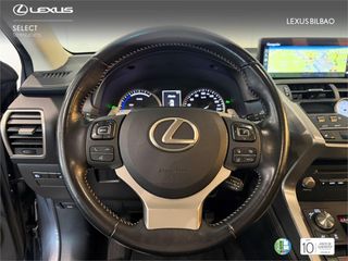 LEXUS NX 300h Executive Navigation 4WD