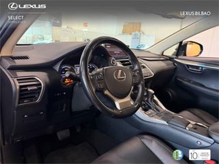 LEXUS NX 300h Executive Navigation 4WD