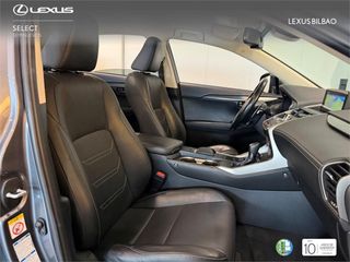 LEXUS NX 300h Executive Navigation 4WD