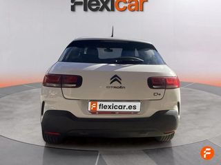 Citroën C4 Cactus BlueHDi 100 S&S Feel