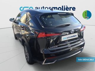 Lexus NX 300h Business Navigation 2WD 145 kW (197 CV)