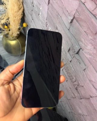 iPhone 14 Pro Max Viola