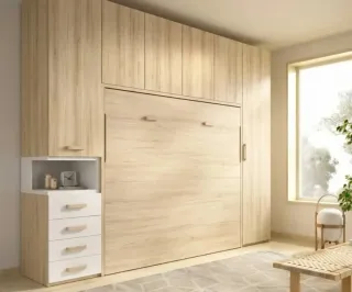 COMPOSICION CON CAMA ABATIBLE RMB150