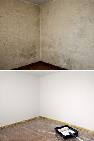 Servicio de pintura y alisado de paredes