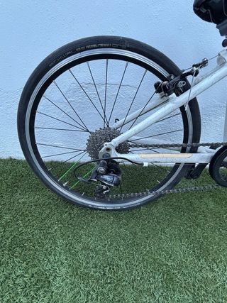 Bicicleta escuelas Frog 20”