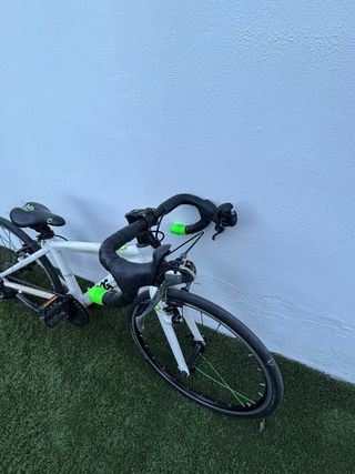 Bicicleta escuelas Frog 20”