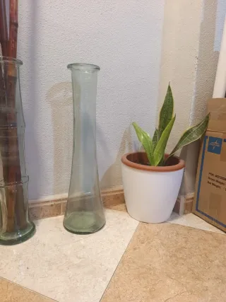 Jarrón alto de cristal transparente