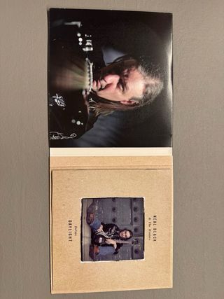 CD Neal Black & The Healers - Before Daylight