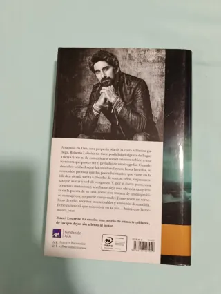 Cuando la tormenta pase: Premio de Novela Ferna...