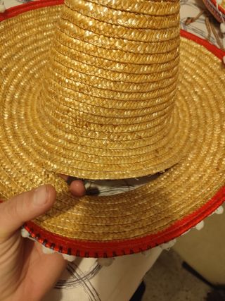 Lote sombreros disfraces